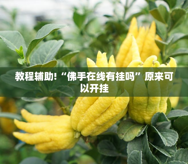 教程辅助!“佛手在线有挂吗	”原来可以开挂
