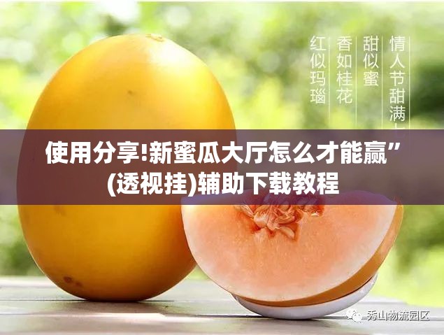 使用分享!新蜜瓜大厅怎么才能赢	”(透视挂)辅助下载教程