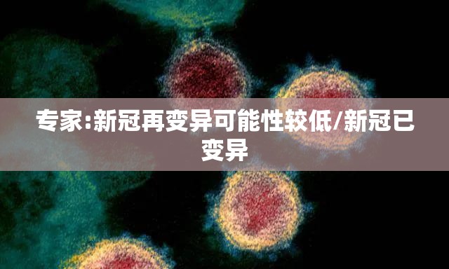 专家:新冠再变异可能性较低/新冠已变异 专家:新冠再变异可能性较低/新冠已变异