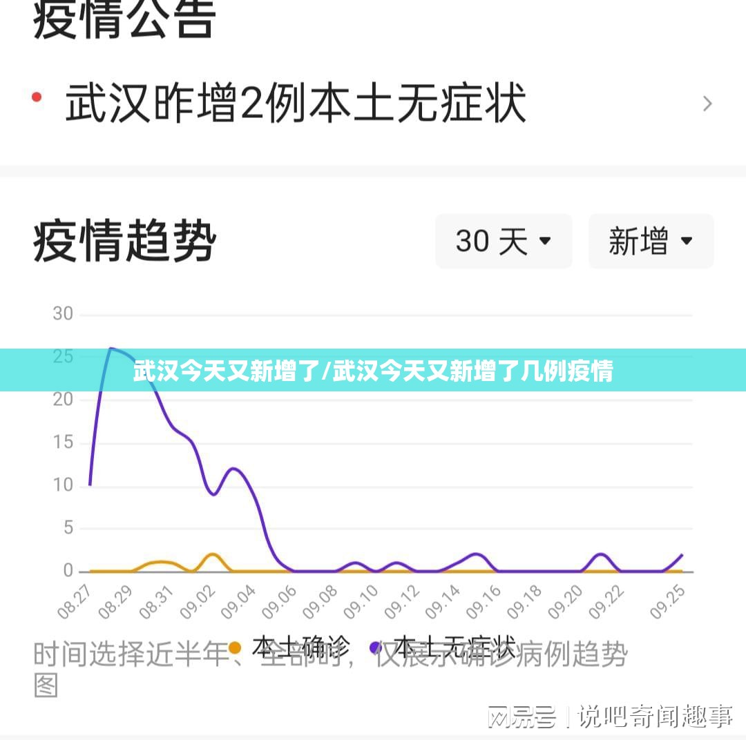 武汉今天又新增了/武汉今天又新增了几例疫情