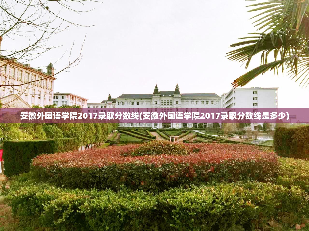 安徽外国语学院2017录取分数线(安徽外国语学院2017录取分数线是多少) 安徽外国语学院2017录取分数线(安徽外国语学院2017录取分数线是多少)