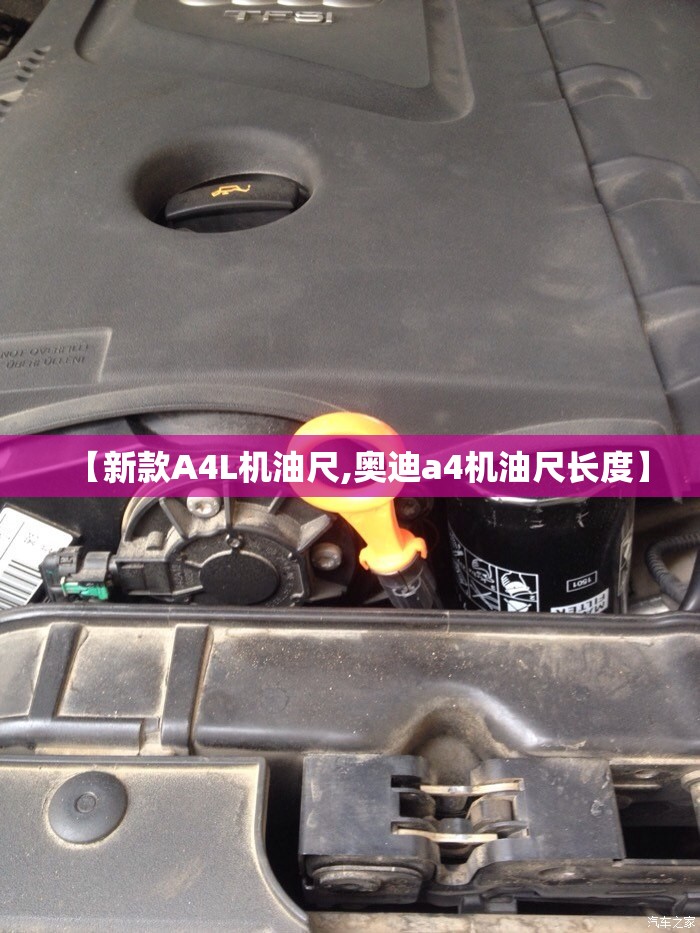 【新款A4L机油尺,奥迪a4机油尺长度】 【新款A4L机油尺,奥迪a4机油尺长度】