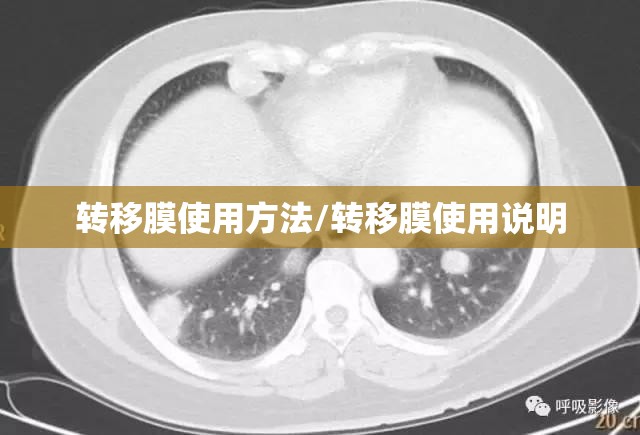 转移膜使用方法/转移膜使用说明