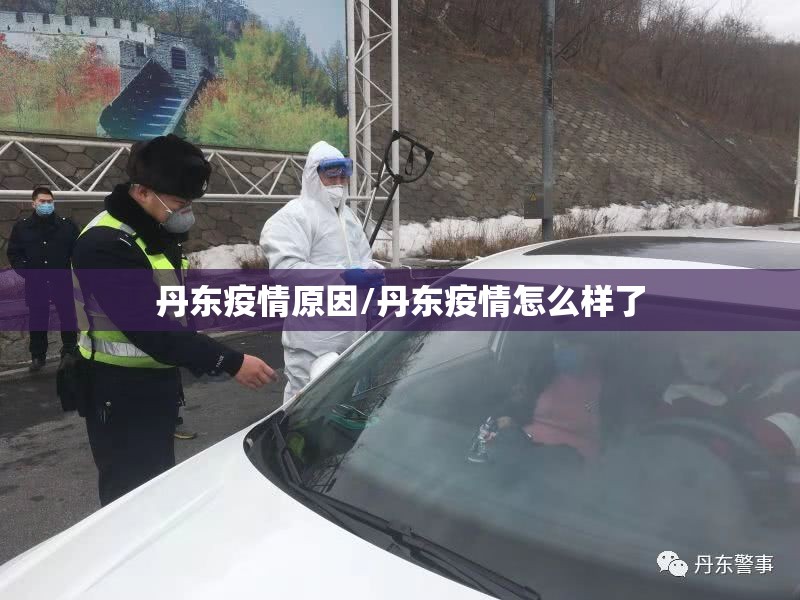 丹东疫情原因/丹东疫情怎么样了 丹东疫情原因/丹东疫情怎么样了