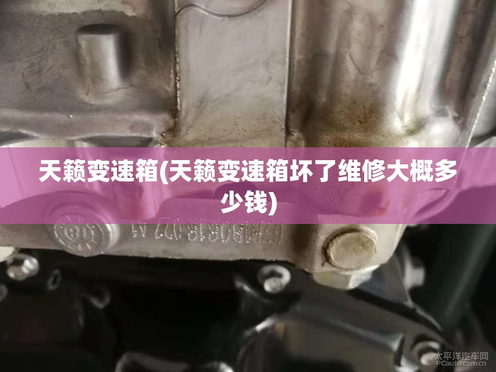 天籁变速箱(天籁变速箱坏了维修大概多少钱)
