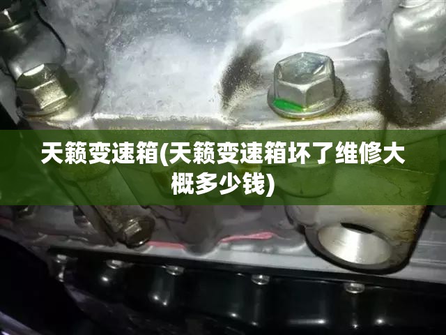 天籁变速箱(天籁变速箱坏了维修大概多少钱)