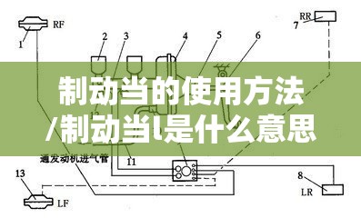 制动当的使用方法/制动当l是什么意思