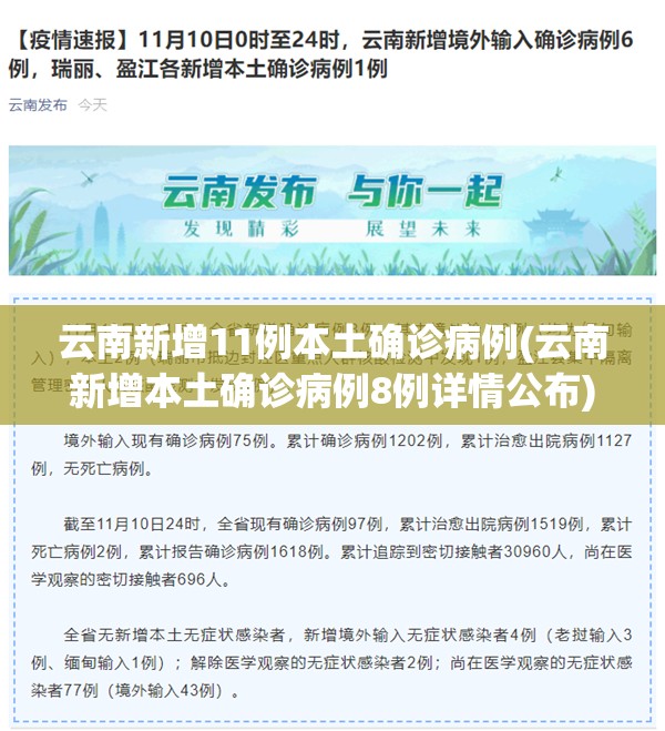 云南新增11例本土确诊病例(云南新增本土确诊病例8例详情公布) 云南新增11例本土确诊病例(云南新增本土确诊病例8例详情公布)