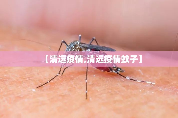 【清远疫情,清远疫情蚊子】