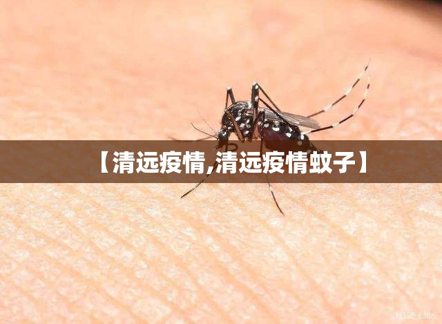 【清远疫情,清远疫情蚊子】