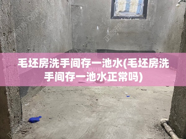 毛坯房洗手间存一池水(毛坯房洗手间存一池水正常吗) 毛坯房洗手间存一池水(毛坯房洗手间存一池水正常吗)