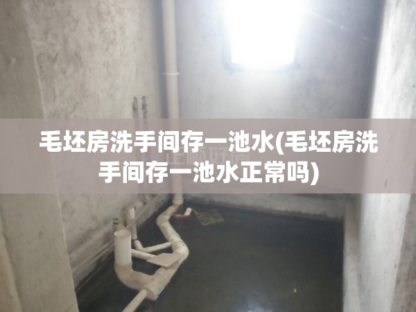 毛坯房洗手间存一池水(毛坯房洗手间存一池水正常吗) 毛坯房洗手间存一池水(毛坯房洗手间存一池水正常吗)