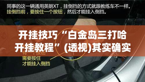 开挂技巧“白金岛三打哈开挂教程”(透视)其实确实有挂