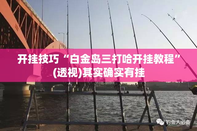 开挂技巧“白金岛三打哈开挂教程”(透视)其实确实有挂