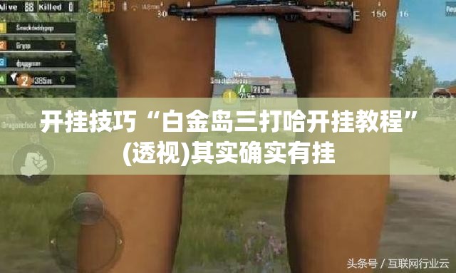 开挂技巧“白金岛三打哈开挂教程”(透视)其实确实有挂