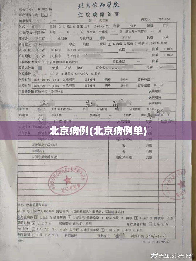 北京病例(北京病例单) 北京病例(北京病例单)