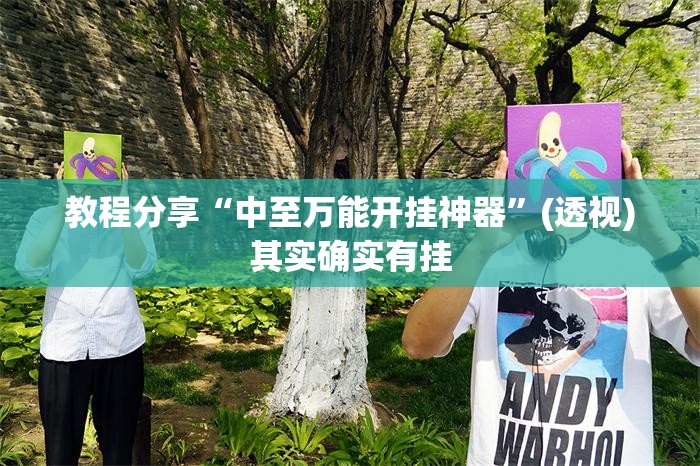 教程分享“中至万能开挂神器”(透视)其实确实有挂