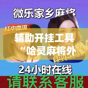 辅助开挂工具“哈灵麻将外卦辅助软件下载(透视)”开挂辅助脚本+详细开挂安装教程