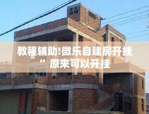 教程辅助!微乐自建房开挂”原来可以开挂