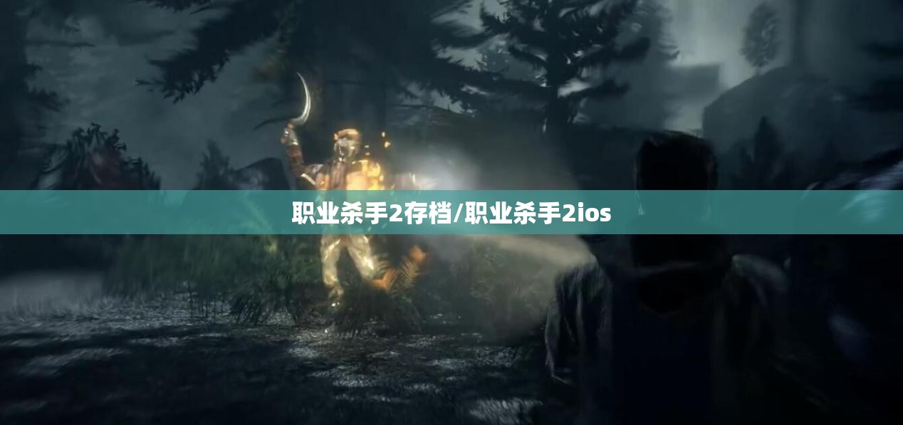 职业杀手2存档/职业杀手2ios