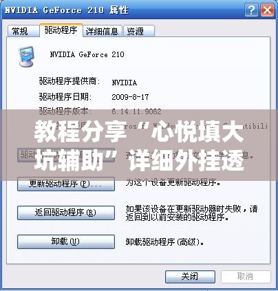 教程分享“心悦填大坑辅助”详细外挂透视辅助软件教程