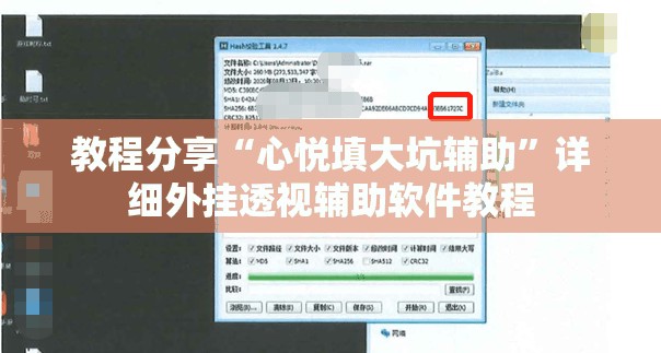 教程分享“心悦填大坑辅助”详细外挂透视辅助软件教程