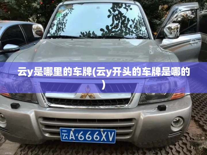 云y是哪里的车牌(云y开头的车牌是哪的) 云y是哪里的车牌(云y开头的车牌是哪的)