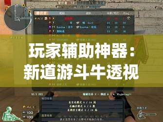 玩家辅助神器：新道游斗牛透视现场安装(透视)”开挂辅助脚本+详细开挂安装教程