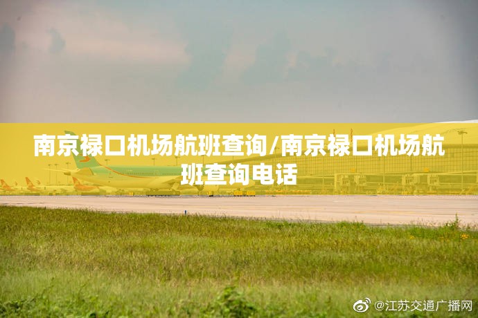 南京禄口机场航班查询/南京禄口机场航班查询电话 南京禄口机场航班查询/南京禄口机场航班查询电话
