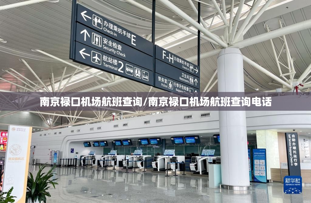 南京禄口机场航班查询/南京禄口机场航班查询电话 南京禄口机场航班查询/南京禄口机场航班查询电话