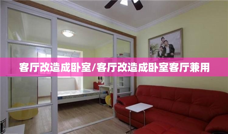 客厅改造成卧室/客厅改造成卧室客厅兼用 客厅改造成卧室/客厅改造成卧室客厅兼用