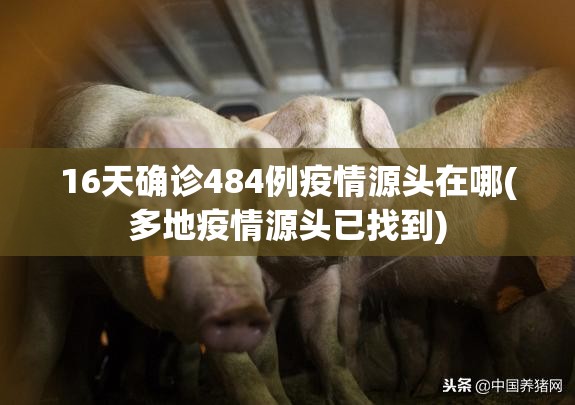 16天确诊484例疫情源头在哪(多地疫情源头已找到)
