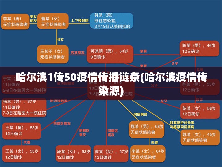 哈尔滨1传50疫情传播链条(哈尔滨疫情传染源)