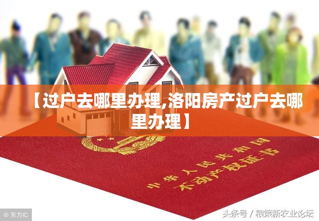 【过户去哪里办理,洛阳房产过户去哪里办理】 【过户去哪里办理,洛阳房产过户去哪里办理】