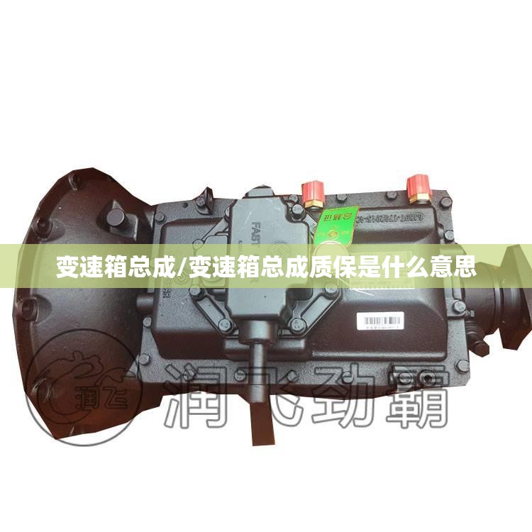 变速箱总成/变速箱总成质保是什么意思 变速箱总成/变速箱总成质保是什么意思