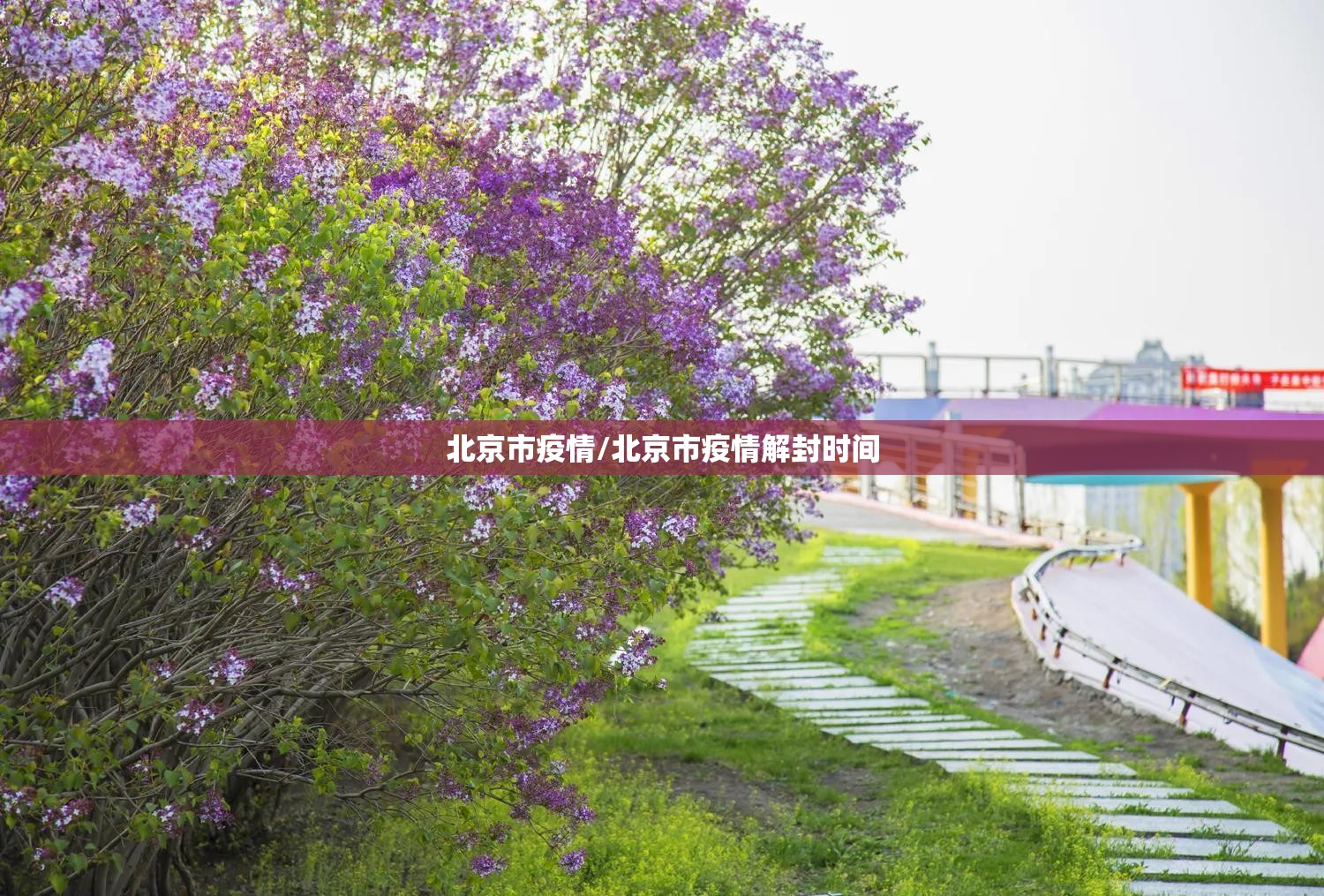 北京市疫情/北京市疫情解封时间 北京市疫情/北京市疫情解封时间