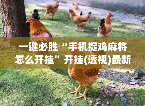一键必胜“手机捉鸡麻将怎么开挂”开挂(透视)最新辅助详细