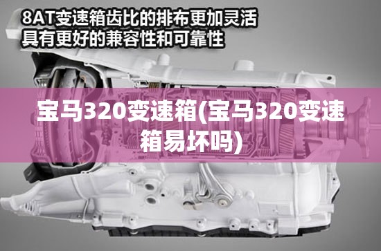 宝马320变速箱(宝马320变速箱易坏吗) 宝马320变速箱(宝马320变速箱易坏吗)