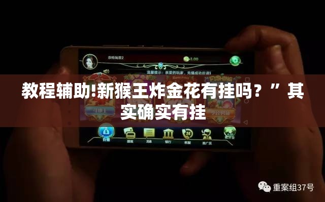 教程辅助!新猴王炸金花有挂吗？	”其实确实有挂