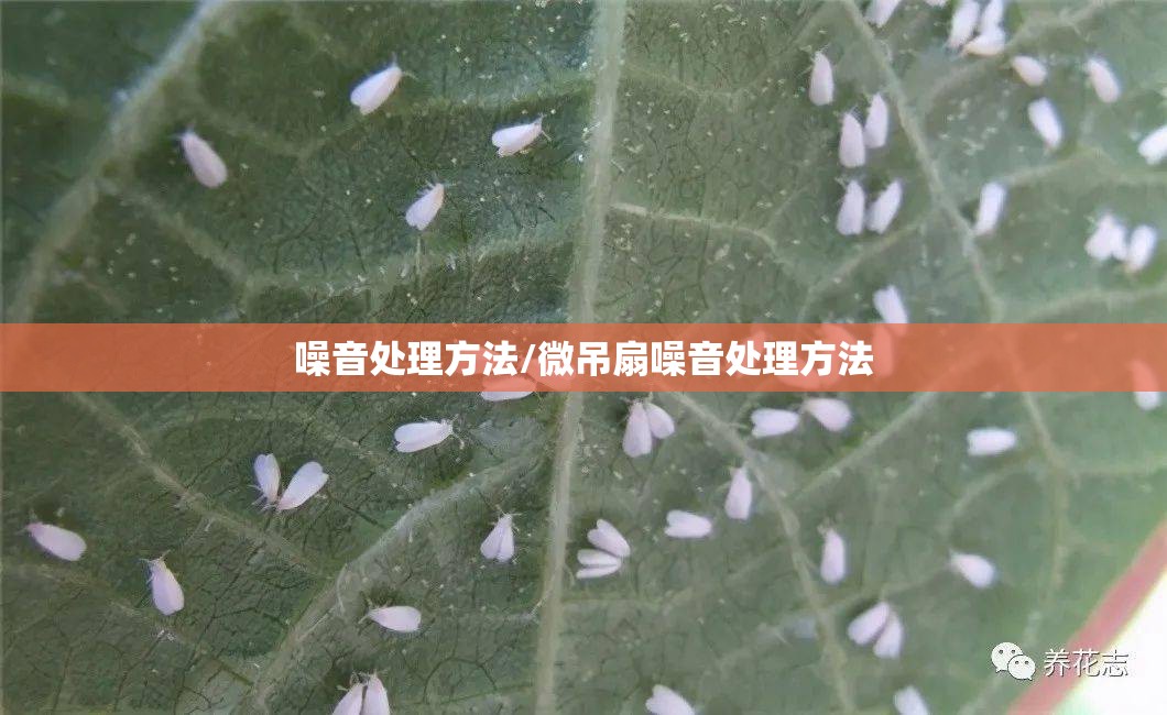 噪音处理方法/微吊扇噪音处理方法 噪音处理方法/微吊扇噪音处理方法
