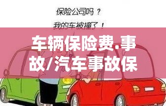 车辆保险费.事故/汽车事故保费会增加吗