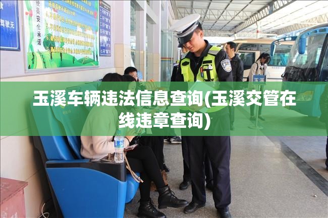玉溪车辆违法信息查询(玉溪交管在线违章查询) 玉溪车辆违法信息查询(玉溪交管在线违章查询)