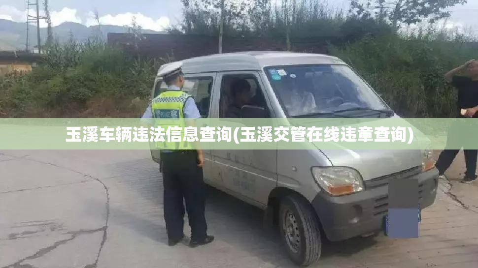 玉溪车辆违法信息查询(玉溪交管在线违章查询) 玉溪车辆违法信息查询(玉溪交管在线违章查询)