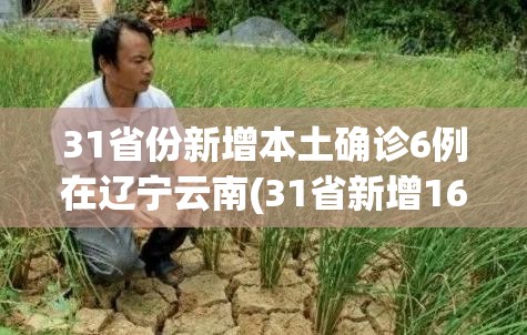 31省份新增本土确诊6例在辽宁云南(31省新增16例确诊本土7例) 31省份新增本土确诊6例在辽宁云南(31省新增16例确诊本土7例)