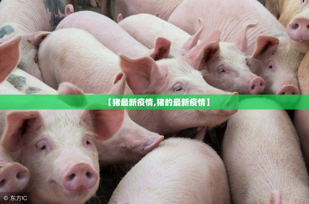 【猪最新疫情,猪的最新疫情】 【猪最新疫情,猪的最新疫情】