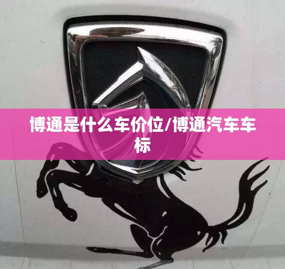 博通是什么车价位/博通汽车车标 博通是什么车价位/博通汽车车标