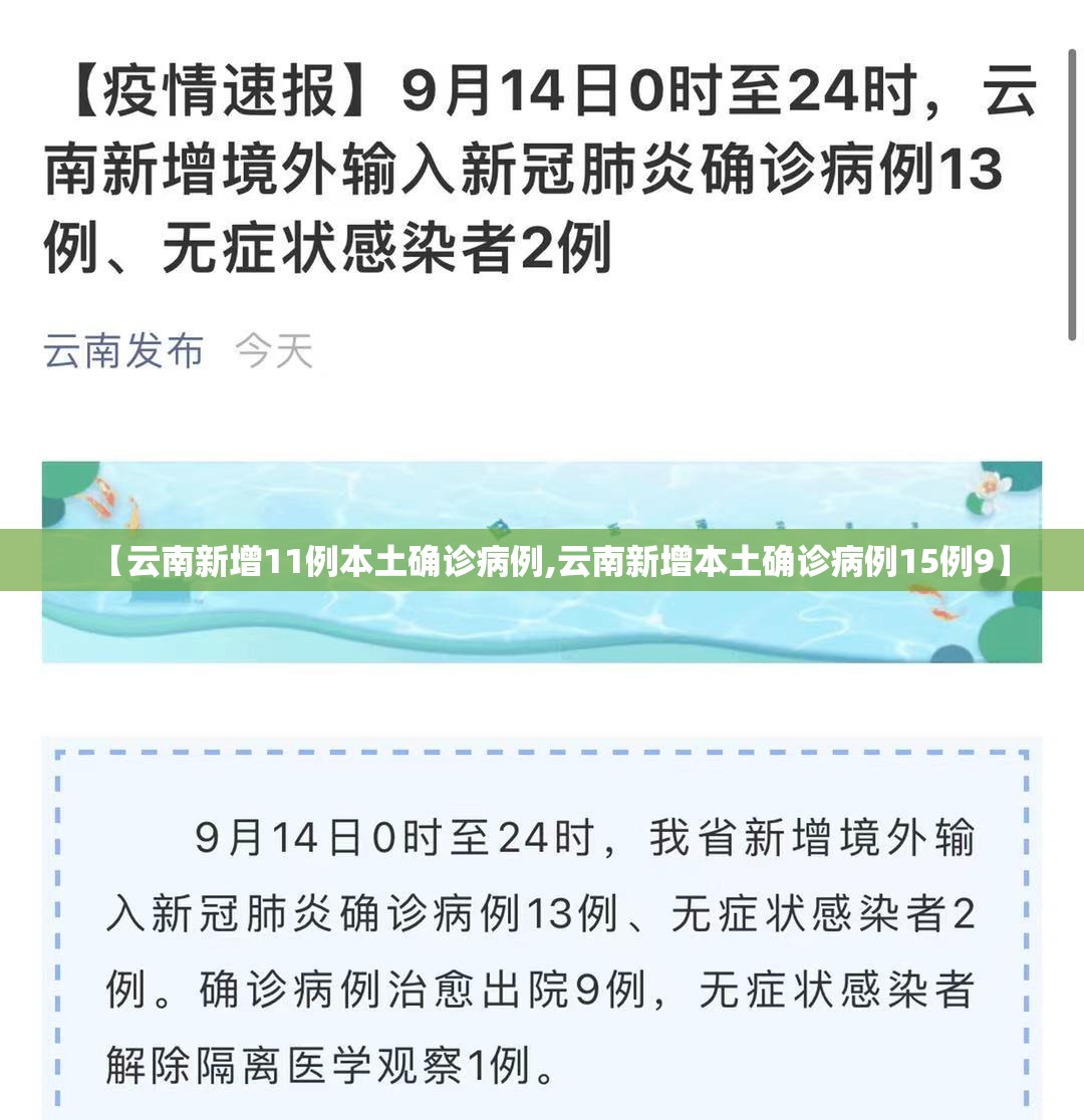 【云南新增11例本土确诊病例,云南新增本土确诊病例15例9】