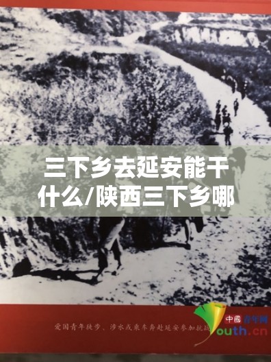 三下乡去延安能干什么/陕西三下乡哪些地方可以去 三下乡去延安能干什么/陕西三下乡哪些地方可以去