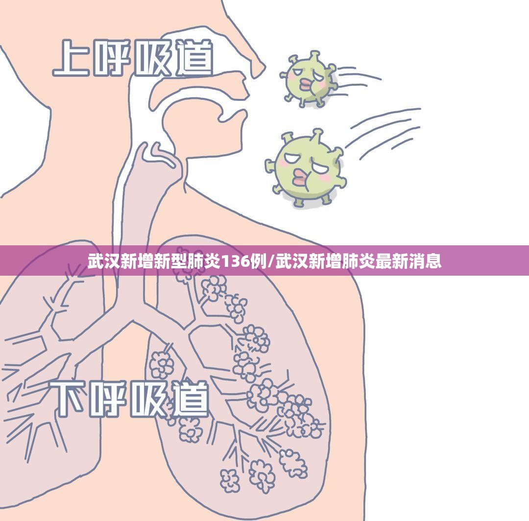 武汉新增新型肺炎136例/武汉新增肺炎最新消息