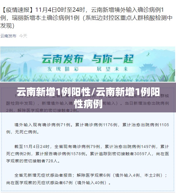 云南新增1例阳性/云南新增1例阳性病例 云南新增1例阳性/云南新增1例阳性病例